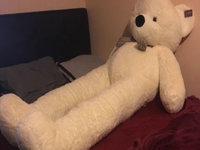 Disproportionate Teddy Bear