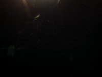 #BloodOnTheirHandsFCC