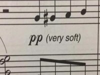 PP (Very Soft)