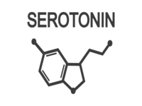 Serotonin