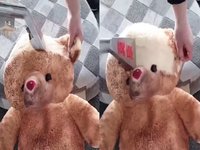 Viral video of a teddy bear getting cleaned, changing its color from brown to white.