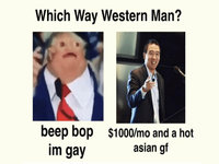 Which way western man meme example image.