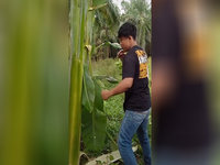 Salam Dari Binjai