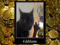 What Are TikTok Doubloons The 4 Dabloons Cat Meme Explained Know 