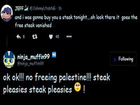 Ninjamuffin palestine joke screenshot