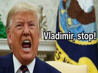 Vladimir Stop meme depicting Donald Trump.