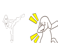 Fido