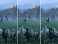 Dog Defending Sheep From Werewolf meme and painting.