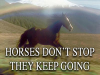 Horses Don't Stop They Keep Going meme example.
