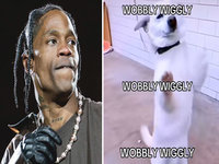 Wobbly Wiggly Travis Scott meme and song.