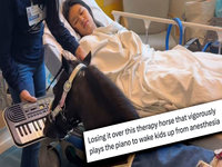 Mini Therapy Horse Playing The Piano meme and video example image.