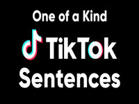 One Of A Kind TikTok Sentences