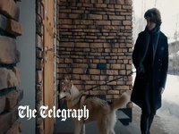 Siberian Husky Russian Propaganda