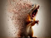 Disintegrating Squirrel meme