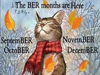 Ber Months meme and image example.