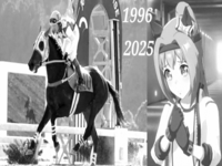 Haru Urara placeholder