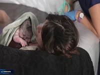 Streamer 'Fandy' Livestreams Her Baby's Natural Birth To Over 29,000 Viewers With Twitch CEO's Blessing
