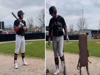 Tung Tung Tung Sahur Baseball GIF image examples.