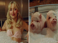 Hey Men and They Are Pigs meme and image examples depicting Sabrina Carpenter.