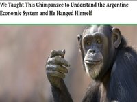 We Taught This Chimpanzee and He Hanged Himself meme and image example.