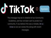 TikTok Political Content Censorship by US Government Allegations image example.