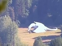 White Dragon Captured at Secret Government Facility In China image example.