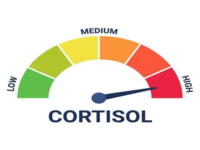 Cortisol Level / Cortisol Spike