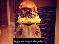 Burger Twitter / Burgertwt meme and image example.
