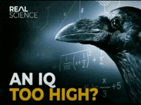 An IQ Too High meme taken from a youtube video thumbnail.