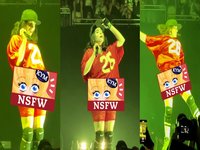 Billie Eilish Camel Toe at Quebec City Concert