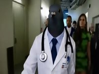 Pigeon Doctor Walking Down Hallway
