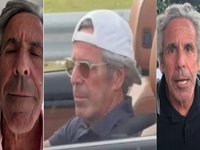 Palm Beach Pete image examples.