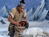 Snow Mountain Saved a Fox
