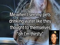 IShowSpeed Aww So Cute meme.