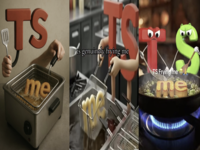TS frying me meme example images.