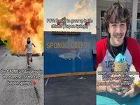 Three examples of memes about Tarpon Springs.