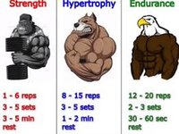 Strength Hypertrophy Endurance