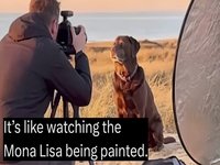 It's Like Watching the Mona Lisa Being Painted meme example depicting Cooked Dog.