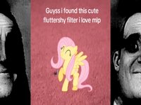Flutteryshy Filter