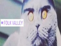 Folk Valley Cat meme.