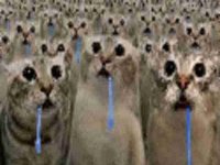 Drooling Cat / Crowd of Drooling Cats meme.