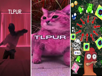 TLPUR meme and slang image examples.