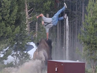 Bison Tossing Man in Yellowstone viral video image example.