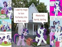Twilight Sparkle Turns Fluttershy Into A Flesh Cube In This Strange 'Friendship Is Magic' Redraw Meme