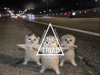 Three Kittens Dancing / The Dark Triad meme and image example.