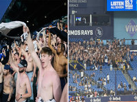 Tarps Off Trend image examples.