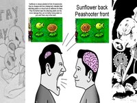 Sunflower Back Peashooter Front meme example images.