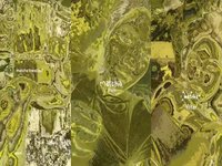 Matcha Filter example images.