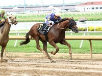 Skibidi Rizz (racehorse)