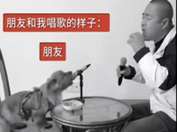 Chinese Dog Singing meme example.